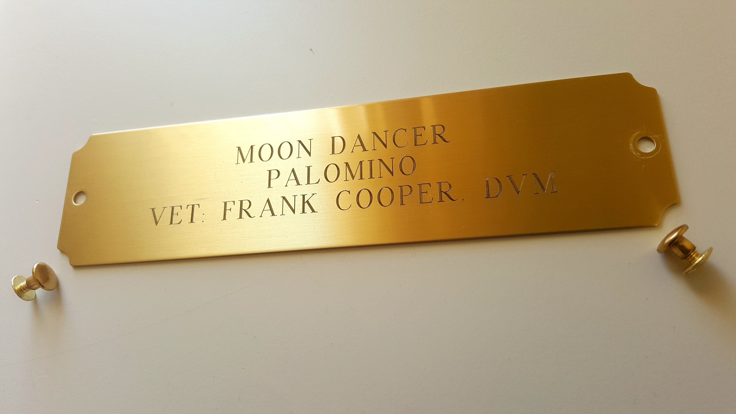 BRASS PLATE Equine Stable Stall Custom Engraved Name Tag Etsy UK