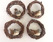 BIRD WREATH ORNAMENTS, Faux Songbirds, Set of 4, Real Bark Feathers, Decorative Bird Decor, Woven Grapevine
