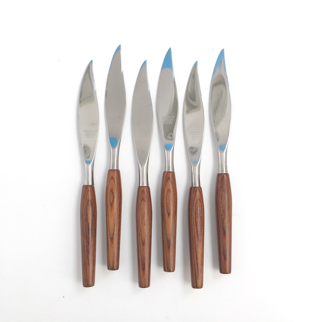 MODERN STEAK KNIVES Mid Century Dinner Knife Set of 6 Etsy