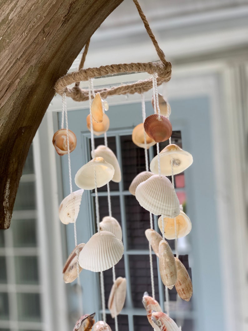 Florida Sea Shells Wind Chimes Palm Beach Seashells Olive Etsy