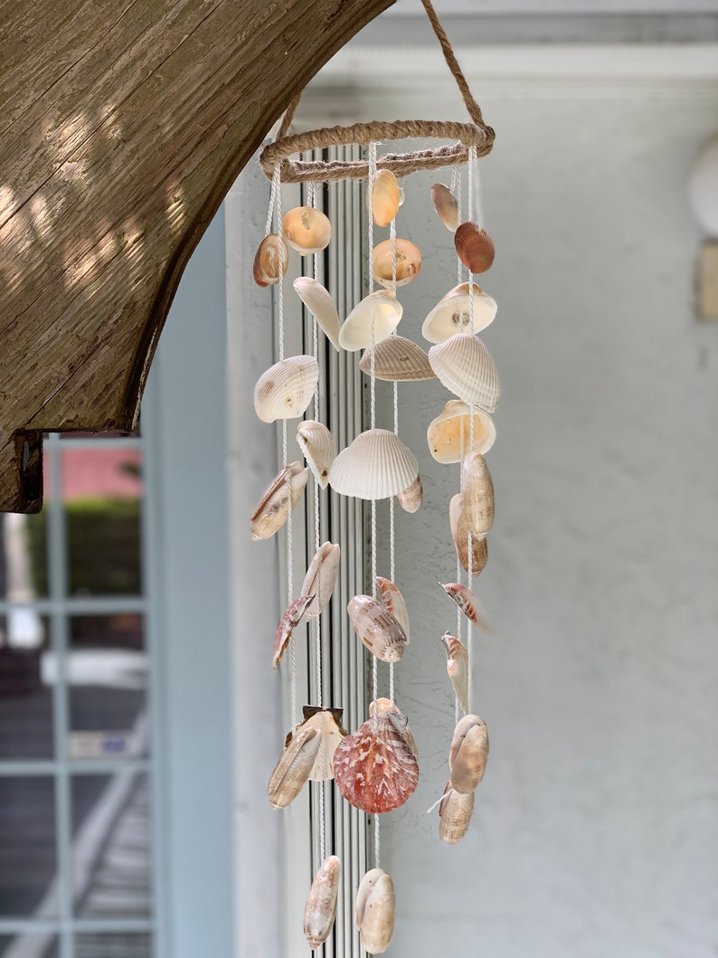 Florida Sea Shells Wind Chimes Palm Beach Seashells Olive Etsy