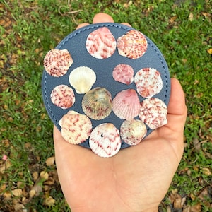 May include: A collection of seashells arranged on a round, navy blue coaster. The shells vary in size and color, with shades of pink, white, and tan. The coaster is held in a hand against a backdrop of green grass.