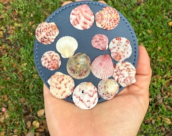Rare Tiny Calico Scallop Shells in Vibrant Colors from Florida Beaches. Pack of 10 Pectin seashells. Sizes 0.5 to 1 inch