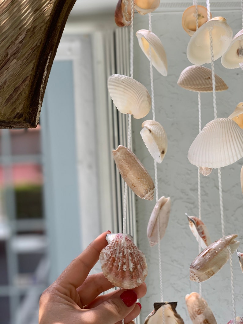 Florida Sea Shells Wind Chimes Palm Beach Seashells Olive Etsy