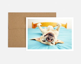 dog birthday card etsy
