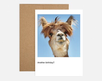 Alpaka geburtstagskarte Etsy