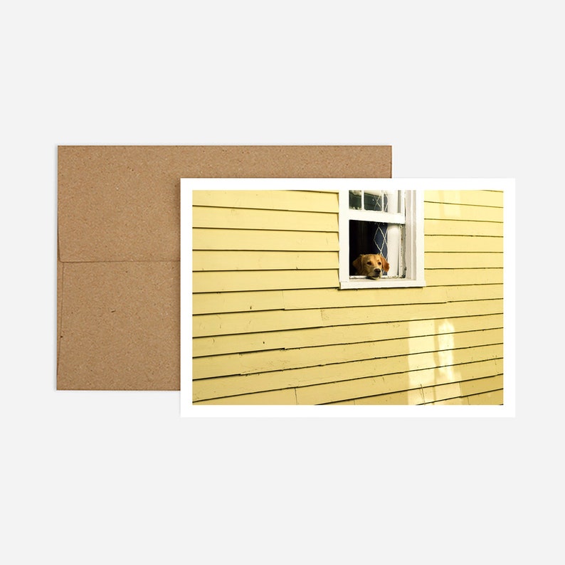 Quarantine Dog in Window Missing You Card image 1