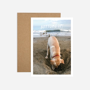 Tarjeta de felicitación de cumpleaños de Labrador Envío Gratuito y Papel Reciclado ? Salud