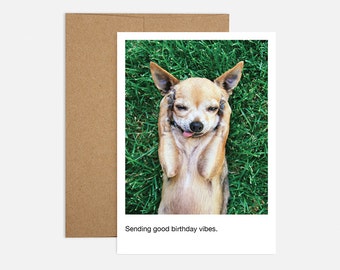Funny Chihuahua Good Vibes Birthday Greeting Card