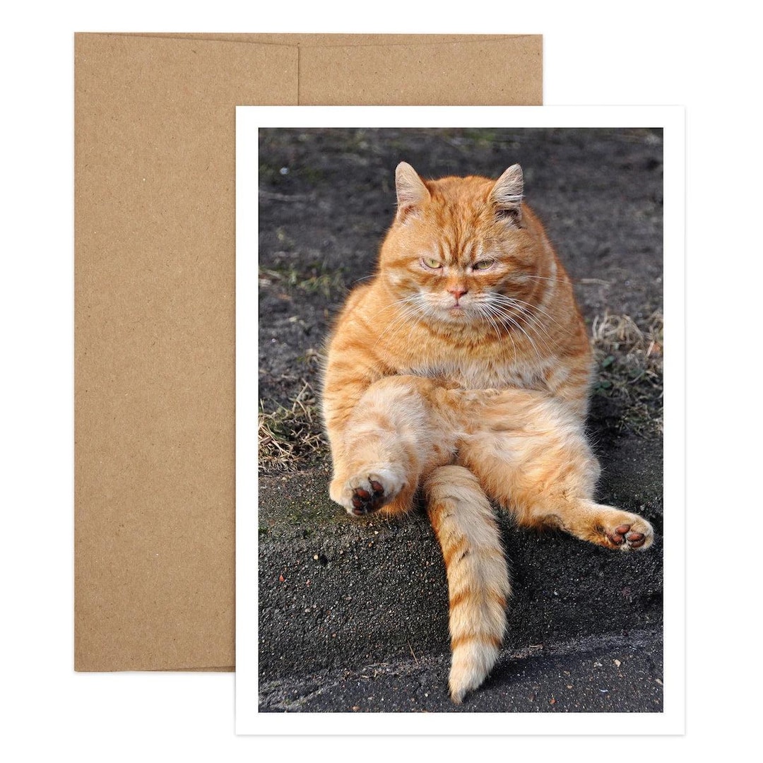 Cat Rapper Birthday Funny Ginger Cat Birthday Card | Happiest of Birthdays - Etsy