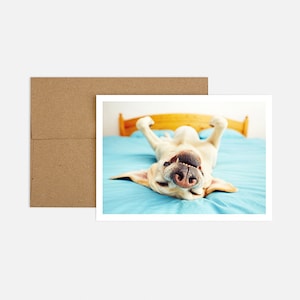 Dog on Bed Birthday Greeting Card