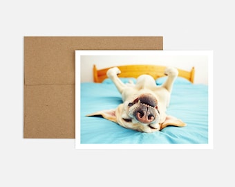 Dog on Bed Birthday Greeting Card