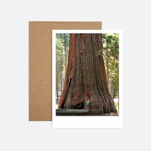 Tarjeta de felicitación grande Redwood gracias