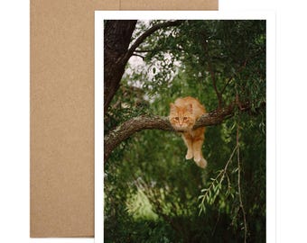 Carte de sympathie pour chat accrocher | Salutation d'encouragement