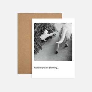 FREE SHIPPING Cat and Dog Birthday Card, Recycled Greeting Card - "Rex Birthday"