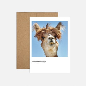 May include: A birthday card featuring a llama with a funny expression and the text "Another birthday?" on a white background.