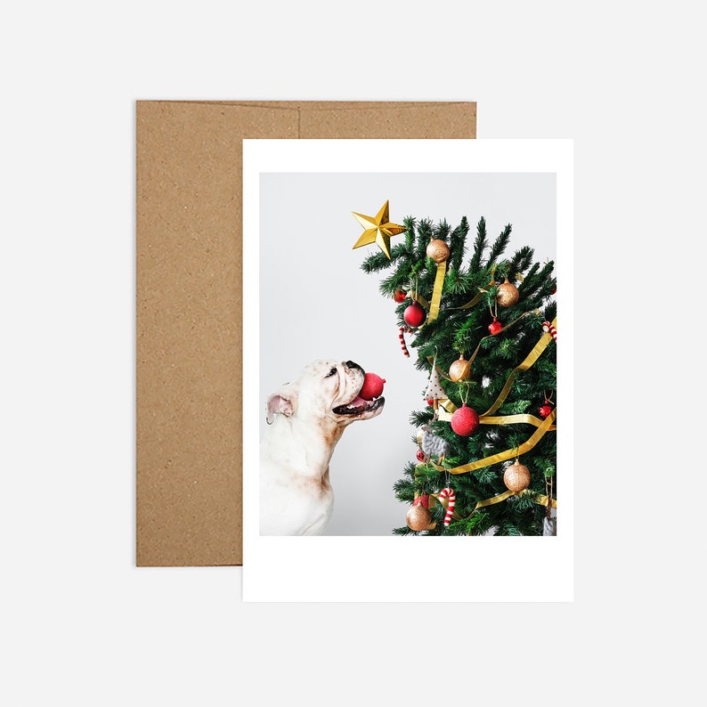 8 Greeting Cards Feliz Naughty Dog Kraft Envelopes
