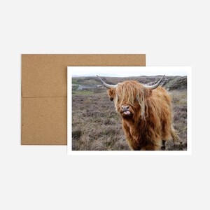 Funny Animal Birthday Card