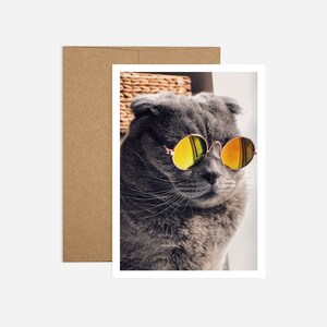 Cartão de aniversário engraçado do gato | Frete grátis e papel reciclado
