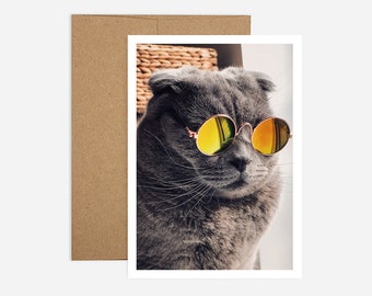 Funny Cat Birthday Card | Free shipping and Recycled Paper