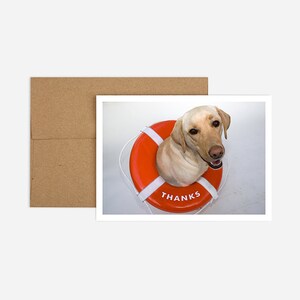 Grappige Labrador dank u wenskaart | Gratis verzending en gerecycled papier | Lifesaver dank u