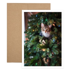Funny Cat Carte de Noël Livraison gratuite