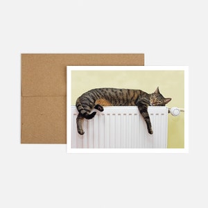 Tarjeta de felicitación de cumpleaños de gato divertido ? Envío Gratuito y Papel Reciclado ? Deseos cálidos