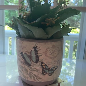 May include: A decorative ceramic planter with a butterfly design, holding a green plant with yellow flowers. The planter has a light beige background with blue butterflies and fern-like patterns. The planter sits on a small metal stand.