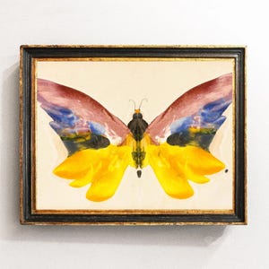 May include: A framed painting of a butterfly with vibrant yellow lower wings and upper wings featuring blended strokes of deep red, blue, and black. The artwork is encased in a rectangular frame with a black outer edge and a gold inner trim.