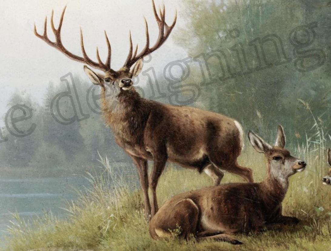 Fawn Deer Wall Art Print Stag & Doe Woodland Scene Romantic Forest ...