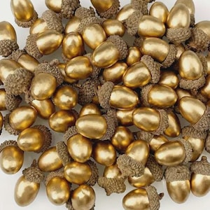 May include: A collection of golden acorns with brown caps. The acorns have a metallic finish, creating a shiny, reflective surface. The caps are textured and add contrast to the smooth, golden bodies. These decorative acorns are ideal for fall-themed crafts and decor.