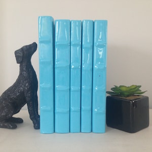 May include: A decorative display featuring five light blue books, a black dog ornament, and a small succulent in a black square pot. The books are arranged vertically, providing a splash of colour against the neutral backdrop.