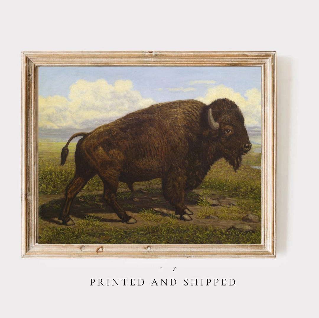 Vintage Buffalo Print American Bison Wall Art Western Nursery Decor ...
