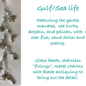 Gulf-Sea Life