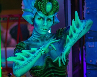 Fin Prosthetics for Sea Creatures and Mermaids