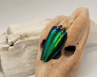 Beetle Wing Earrings