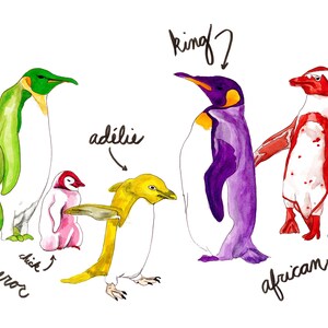 Penguin species watercolor art print