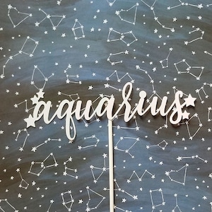 Aquarius cake topper- zodiac cake topper- Aquarius party decor- birthday cake topper- zodiac party decor- Aquarius season- Aquarius AF