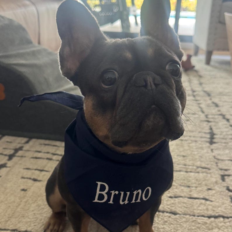 Embroidered Dog Bandana, Personalized Pet Bib Scarf, Custom Pet Neckwear, Custom Personalized Gift for New Dog, Accessories Gift for Dog image 2