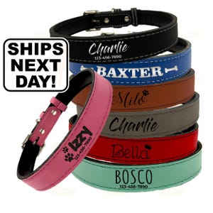 May include: A stack of six pet collars in black, blue, brown, gray, red, and teal, each featuring a personalized name and phone number. A separate pink collar with the name Izzy and a phone number is positioned in the foreground.