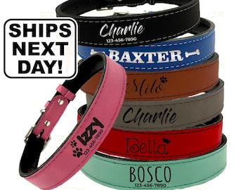 Dog Collar Personalized Boy, Custom Dog Collar Girl, Customized Dog Collar Large, Personalized Dog Collar Buckle, Engraved Dog Collar Girl