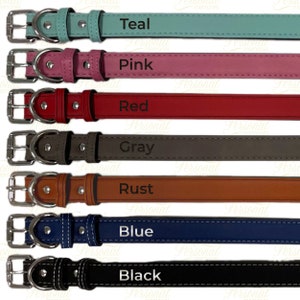 Op de afbeelding: Een selectie van hondenriemen in verschillende kleuren, waaronder teal, roze, rood, grijs, roest, blauw en zwart. Elke halsband heeft een zilverkleurige gesp en is voorzien van de kleurnaam.
