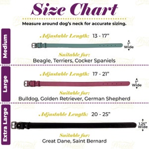 Op de afbeelding: Maattabel voor hondenhalsbanden. De tabel toont de maten medium, large en extra large. Medium is teal, large is roze en extra large is zwart. Verstelbare lengtes zijn 33-43cm, 43-53cm en 51-64cm. Elke halsband is 2.5cm breed, behalve extra large die 3.2cm breed is.