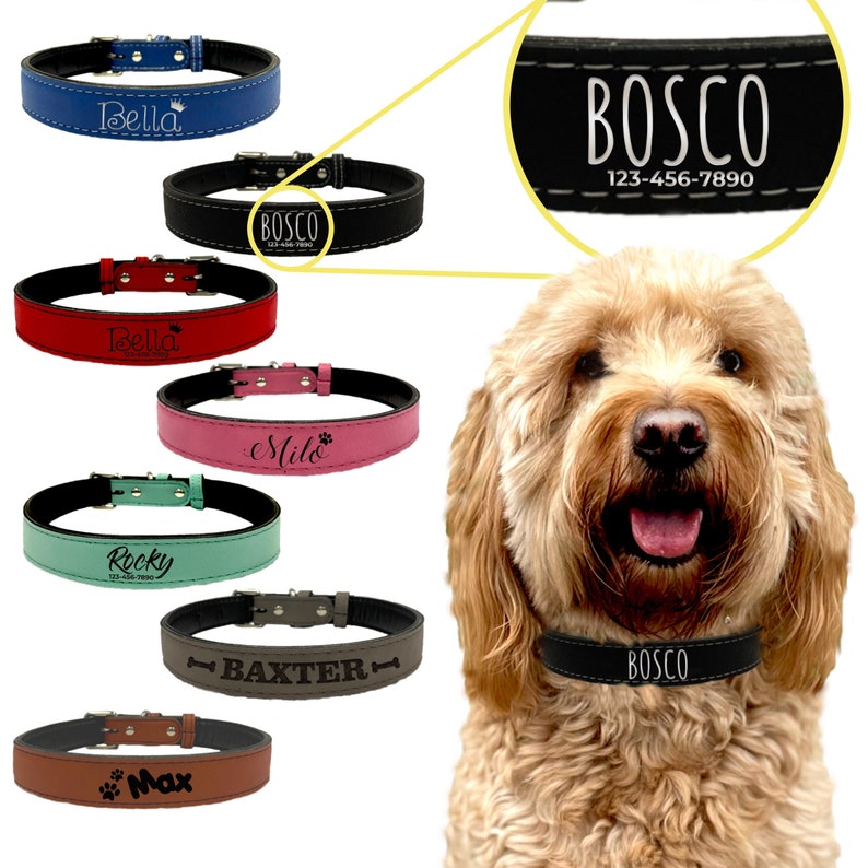 Op de afbeelding: Een verscheidenheid aan gepersonaliseerde hondenhalsbanden in blauw, zwart, rood, roze, groen, grijs en bruin. Elke halsband heeft een naam en telefoonnummer. De zwarte halsband toont de naam "Bosco" en een telefoonnummer.