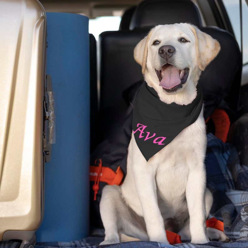 May include: A light-colored Labrador Retriever dog wearing a black triangular bandana around its neck. The bandana features the name Ava printed in a bright pink cursive font. The dog is sitting upright with its mouth open and tongue visible.