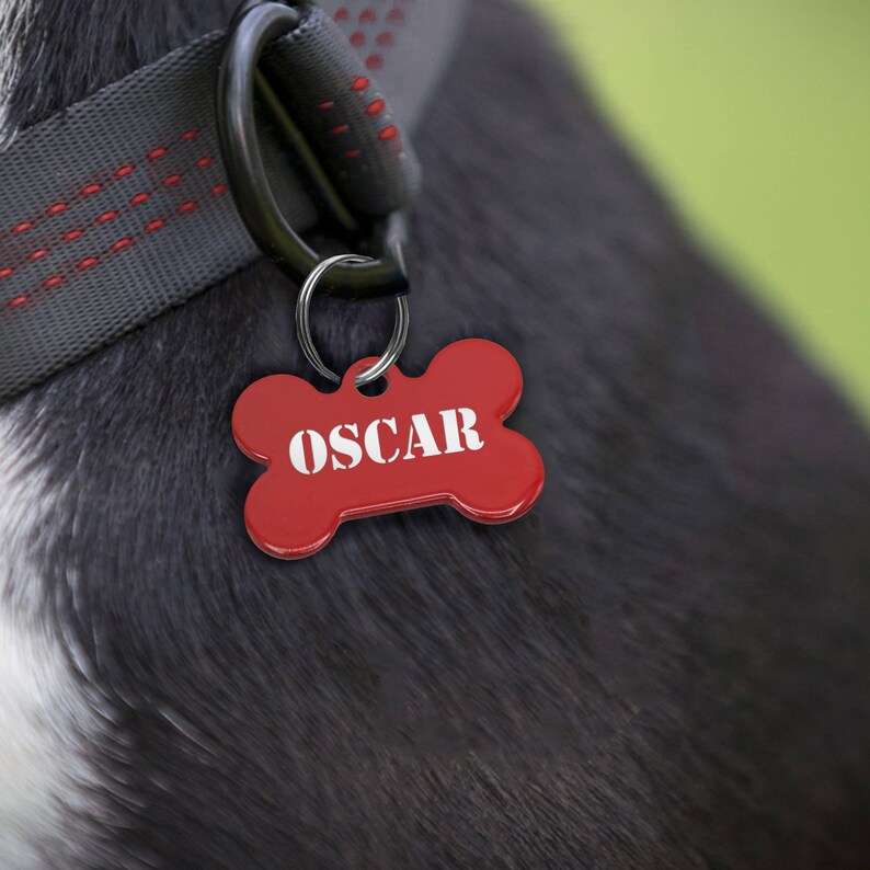 Pet Tag Pet Tag Engraved Cat Collar Id Pet Collar Tag Etsy