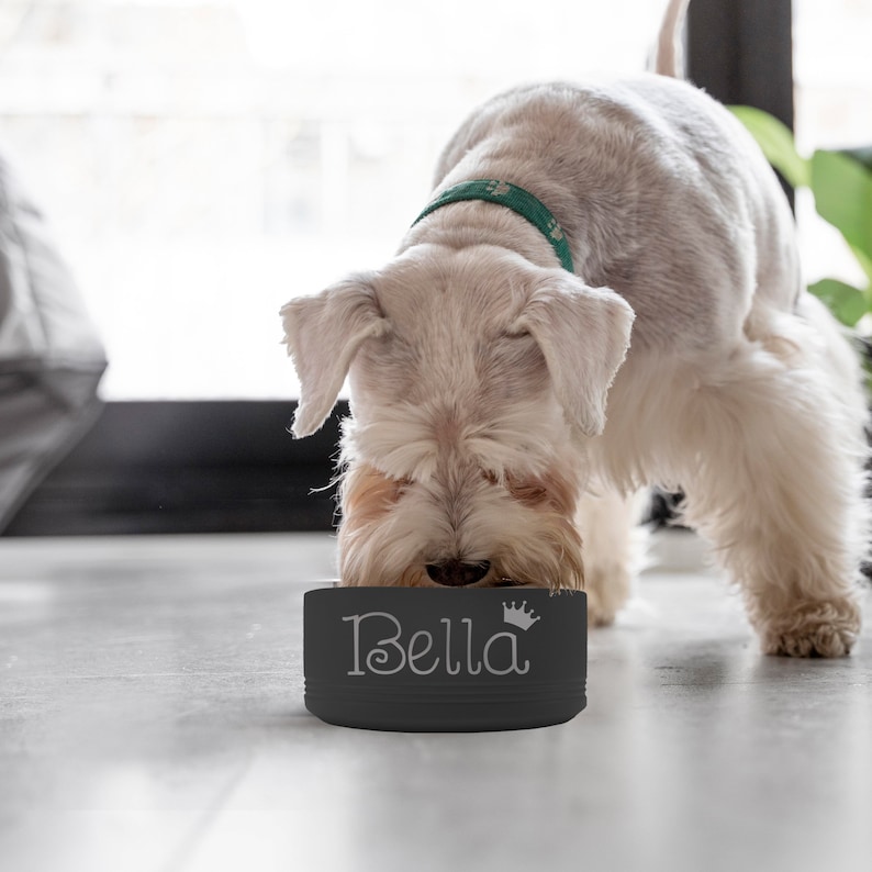 Pet Bowls Personalized, Stainless Steel Dog Bowl, Cat Bowl Custom, Dog Bowl With Name, Personalized Dog Gifts, Dog Dish, Pet Food Bowls image 3