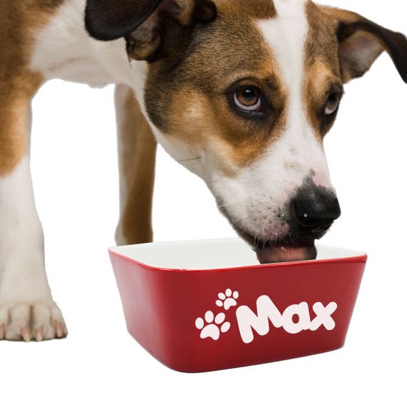 Custom Dog Bowls & Cat Bowls: Ceramic Pet Bowls