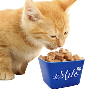 Cat Bowl Ceramic,  Custom Cat Bowl, Monogrammed Cat Bowl, Pet Bowl Kitten, Personalized Pet Gifts, Ceramic Pet Dish, Pet Bowls
