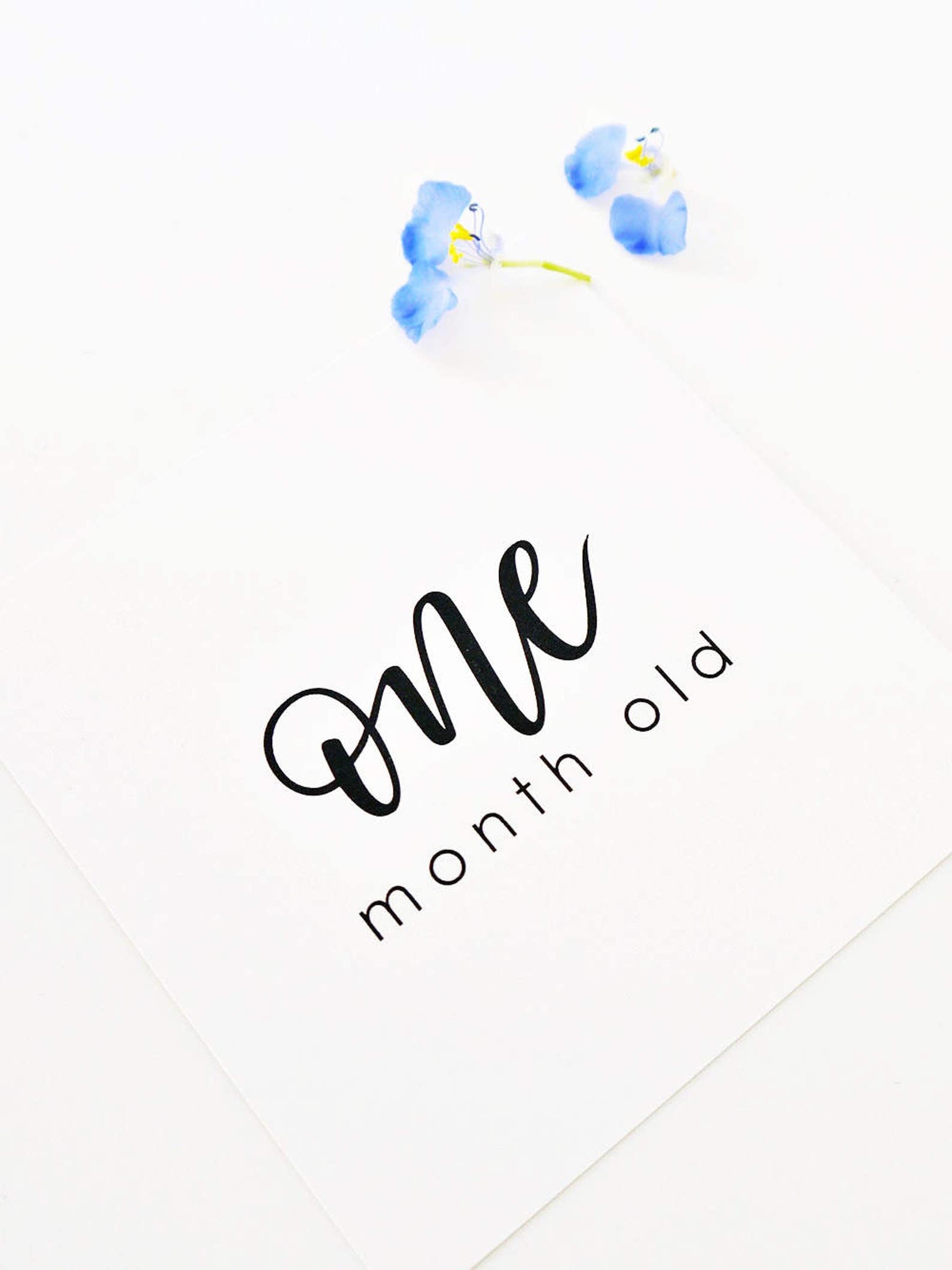 INSTANT DOWNLOAD Baby Milestone Cards Sibling Milestone Etsy